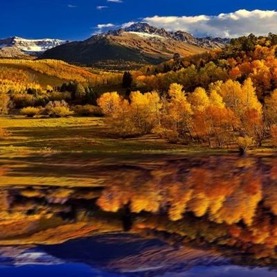 乐动体育app官网入口