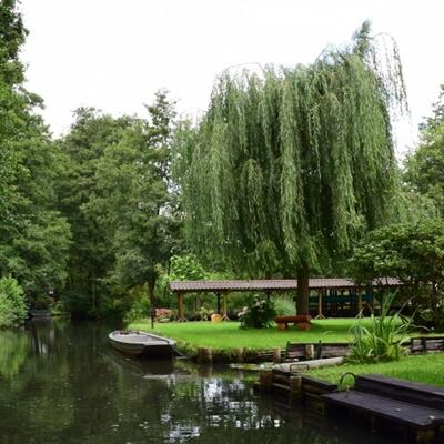 米乐m6下载罗纳尔迪尼奥